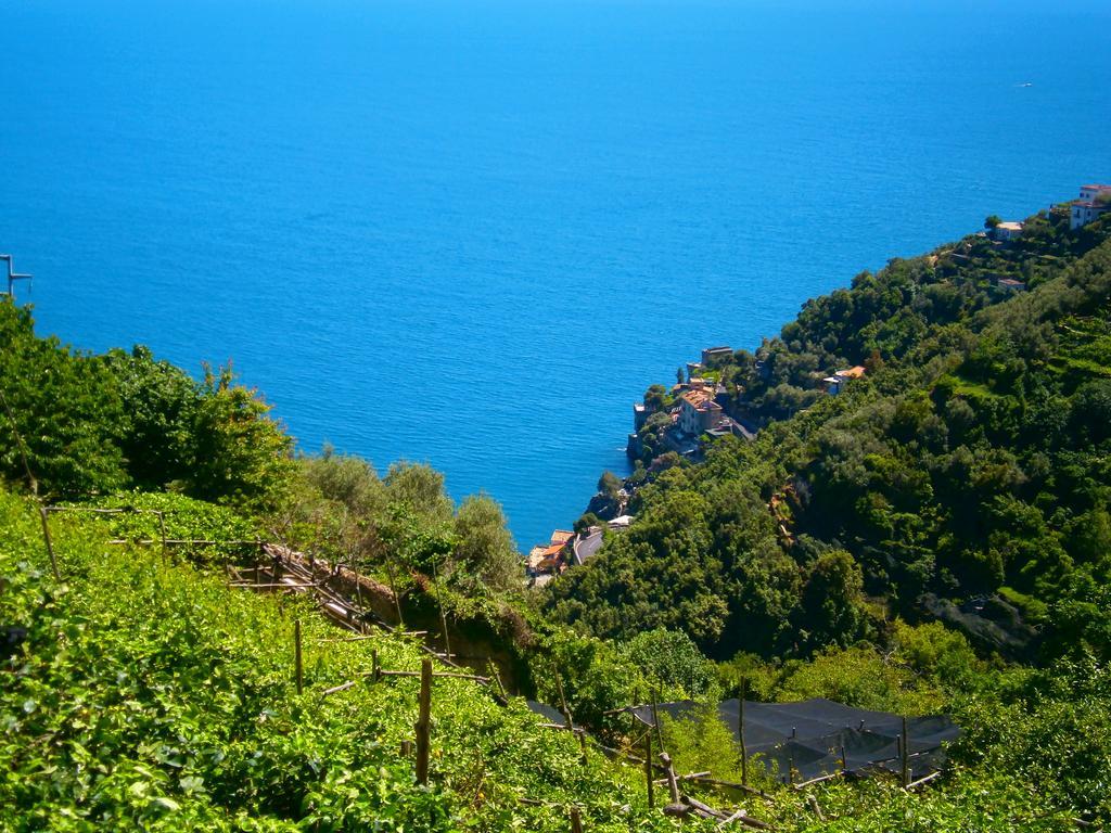 Villa En Rose Ραβέλλο Δωμάτιο φωτογραφία